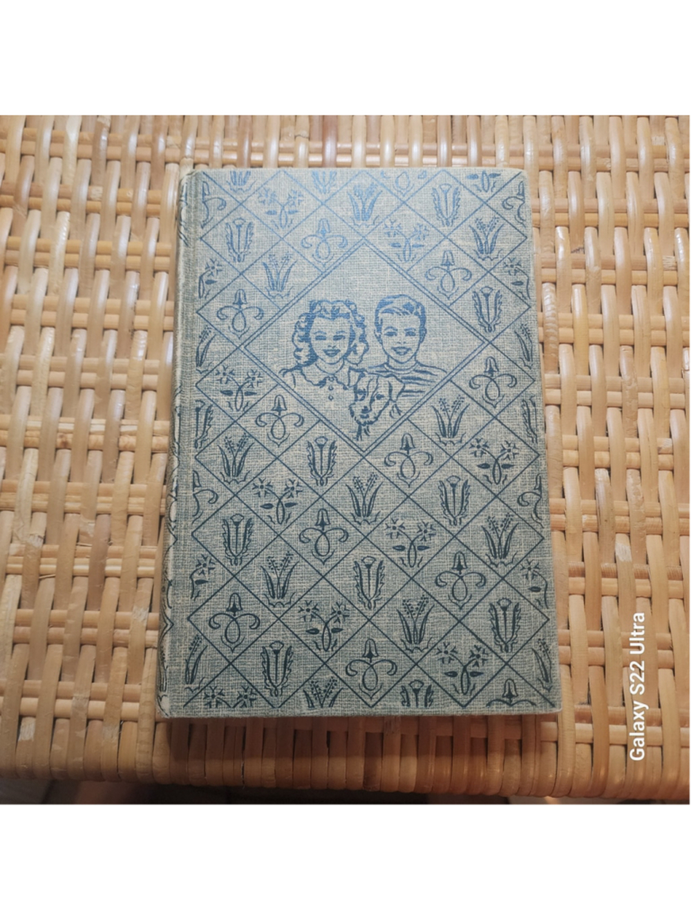 1950 The Bobbsey Twins in Rainbow Valley Laura Lee Hope Grosset & Dunlap Hardcov
